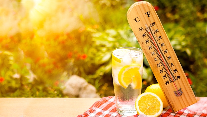 Siete alimentos para combatir el calor