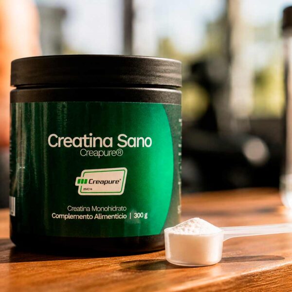 Beneficios-de-la-creatina-sano